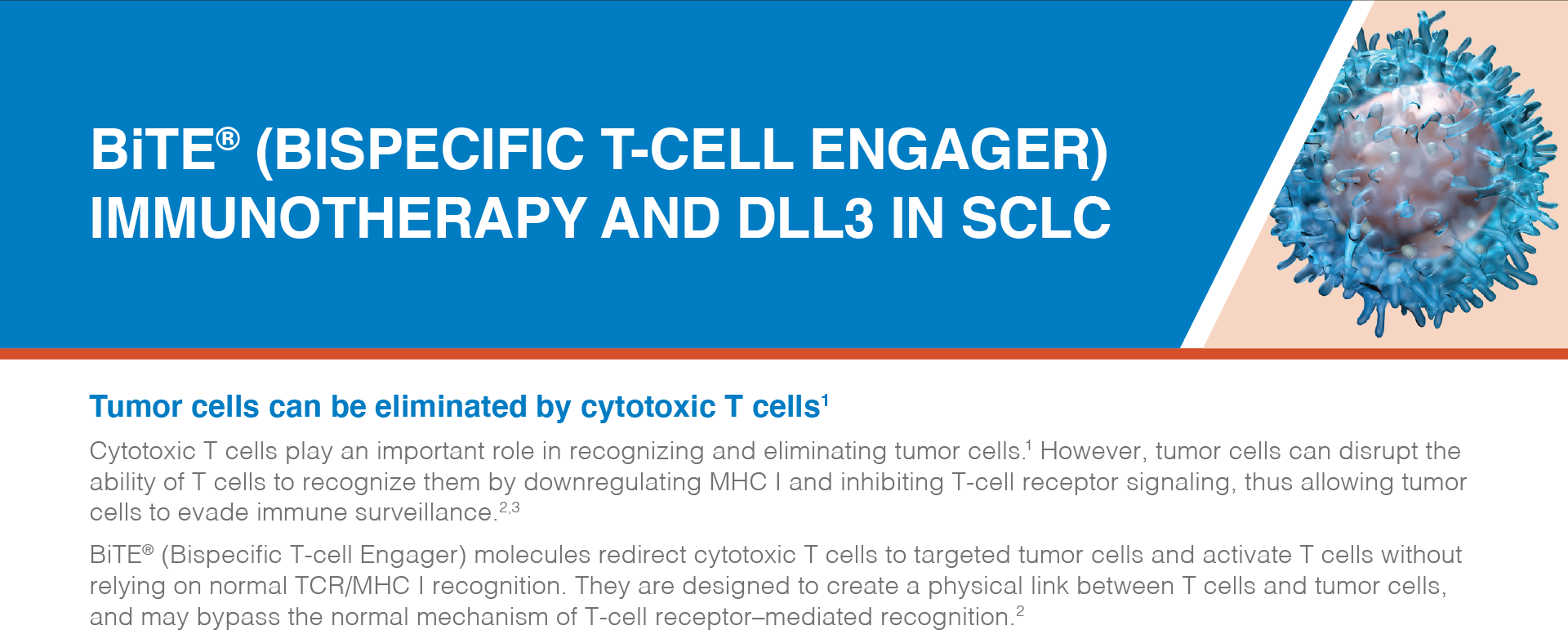 Download DLL3 factsheet