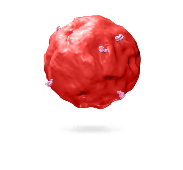 Tumor cell